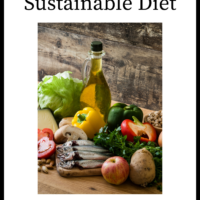 How To Eat A Sustainable Diet