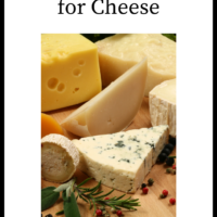 Healthy Substitutes For Cheese