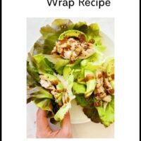 Shredded Chicken Lettuce Wrap Recipe