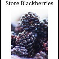 How To Store Blackberries